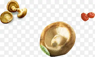 �ɰ��㹽ʳ�����-������