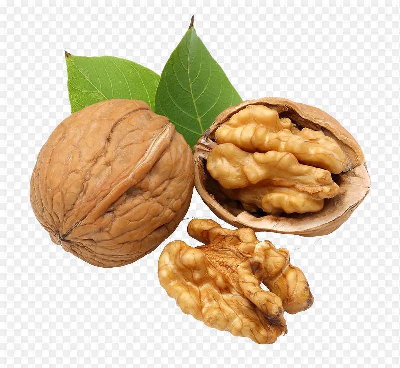 ʳ�����-������