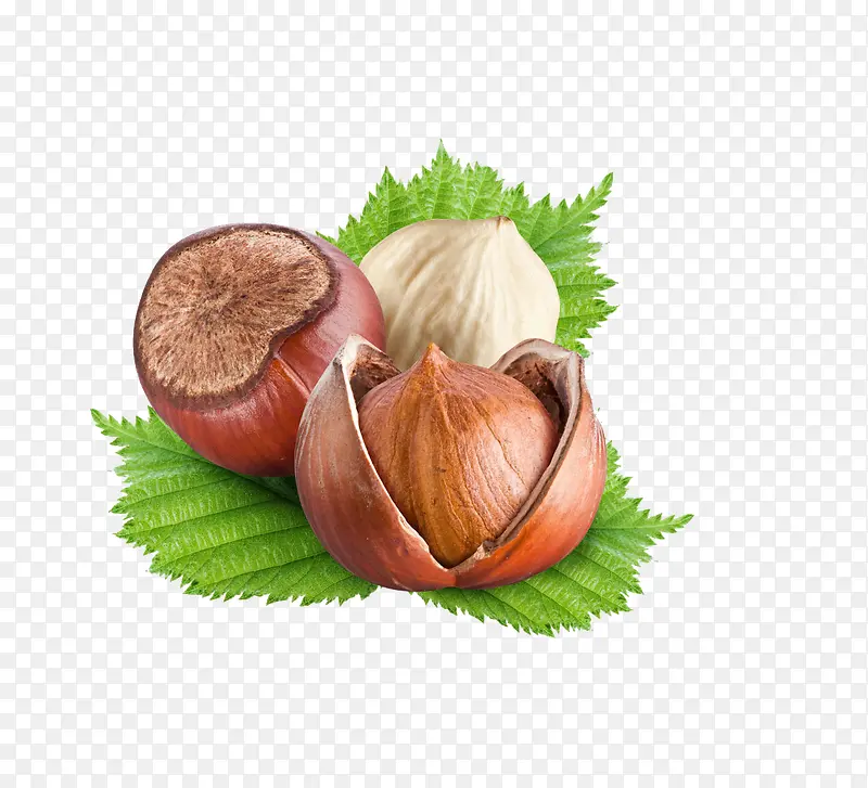 ����-������