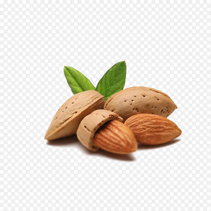 ʳ����-������