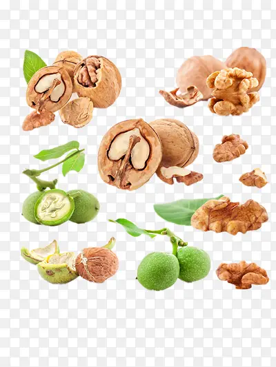 ����-������