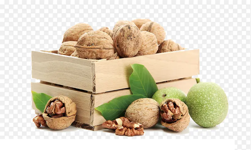 ���� ��� ʳ��-������