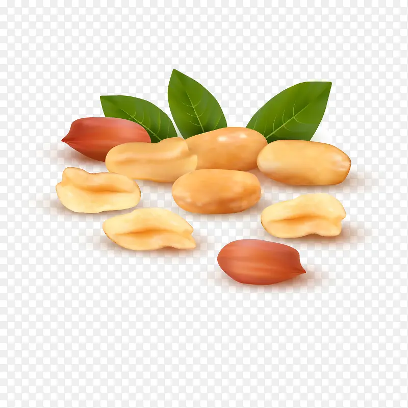 ��ʳ ʳ�� ��ζ �ɿ� ���-������