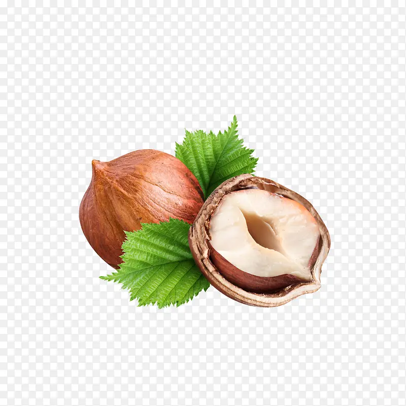 �����Ĺ�-������