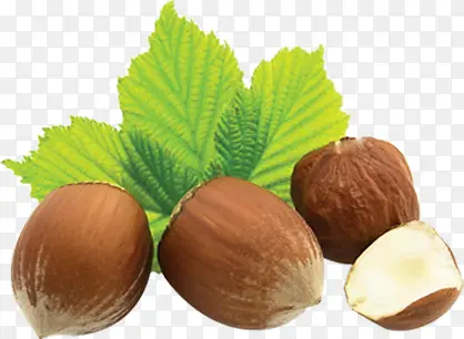 �ɹ��������ʳƷ-������