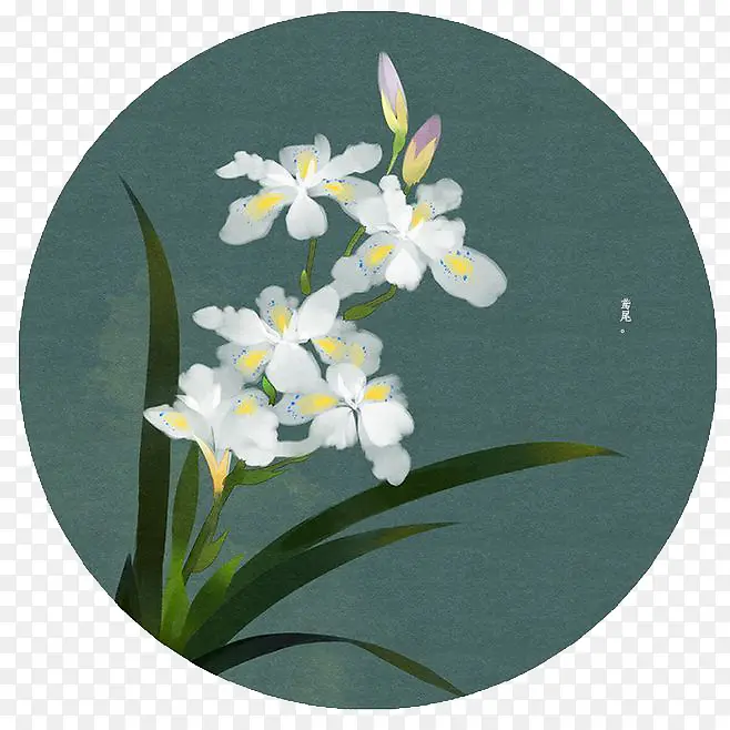 ˮ���ʻ�-������