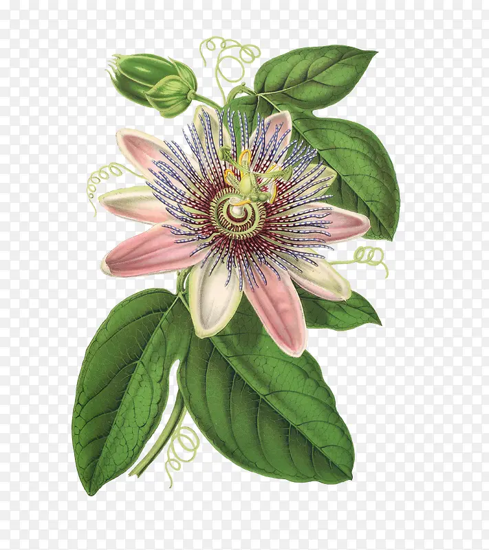 ˮ���ʻ�-������