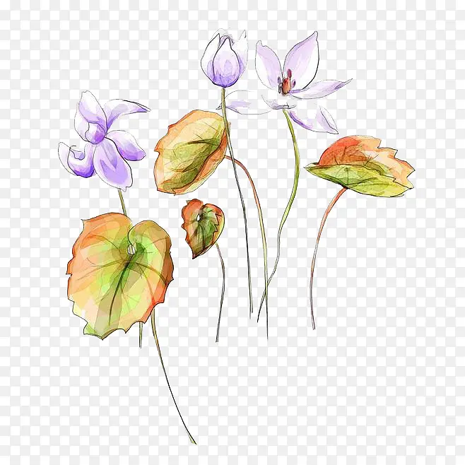 ˮ���ʻ�-������