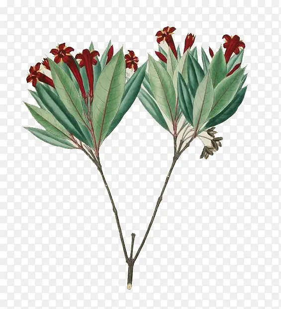 ˮ���ʻ�-������