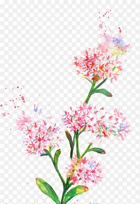 ˮ���ʻ�-������