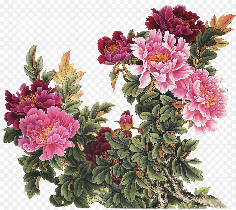 ��ͨ�ֻ��ʻ�-������