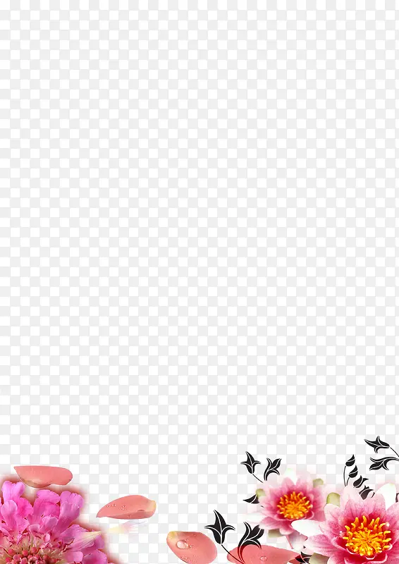 �ʻ�����-������