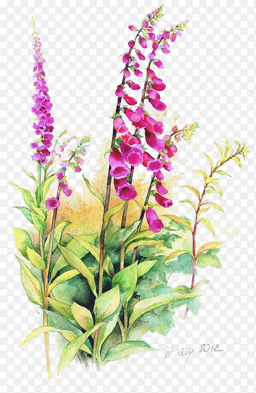 �ֻ��ʻ�-������