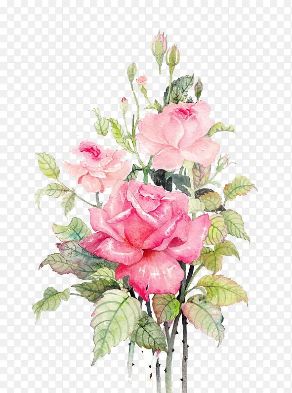 ˮ���ʻ�-������