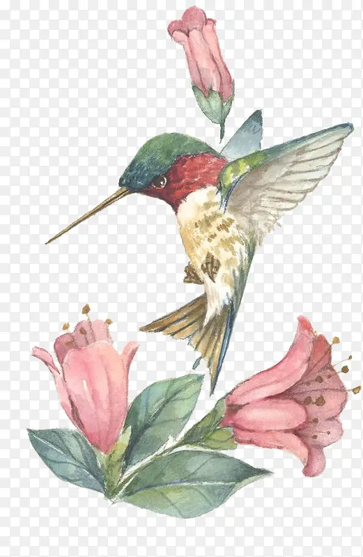 �ֻ���-������