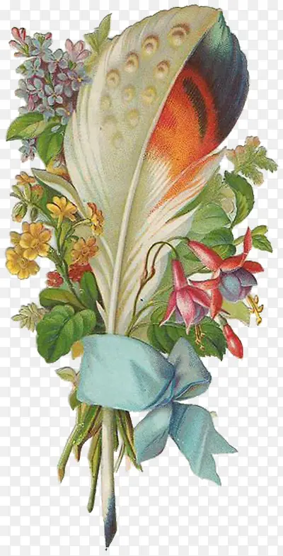 �ֻ���ë-������