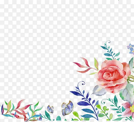 ˮ��ֲ��-������