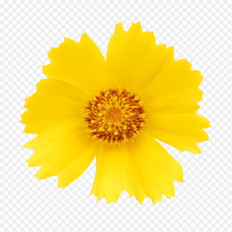 �ʻ������ʻ�ʸ���ز�-������