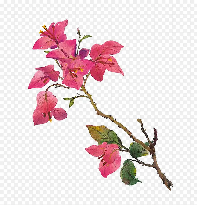 �ֻ��ɫ��-������