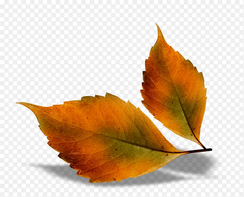 ֲ�ﻨ���ز��ֻ�װ���ز�-������