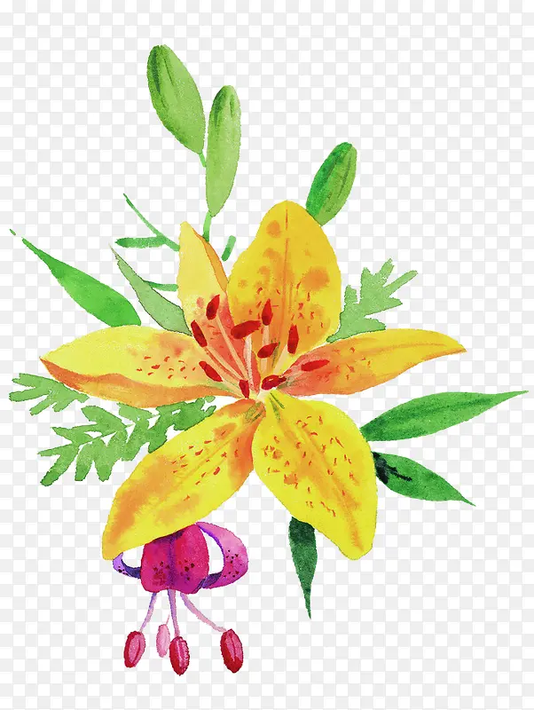 �ֻ��ʻ�-������