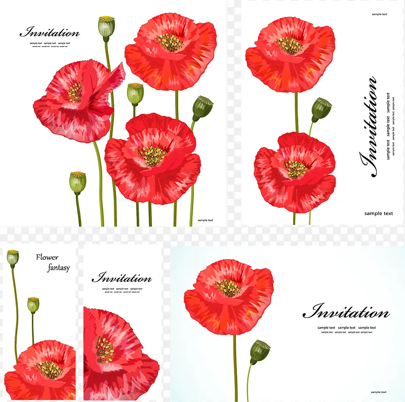 �ֻ滨-������