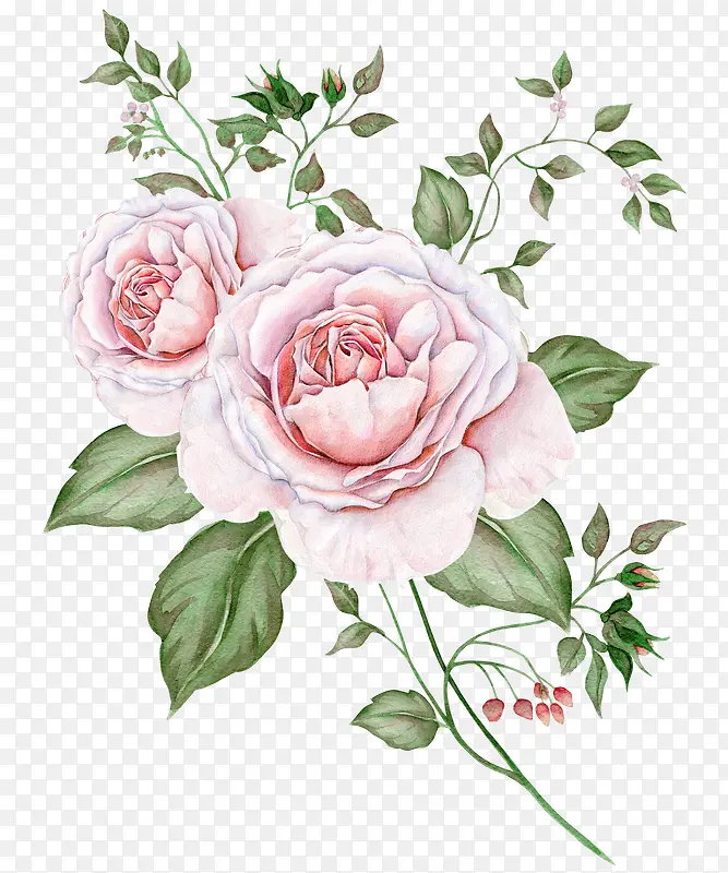 �ʻ���Ҷ��-������