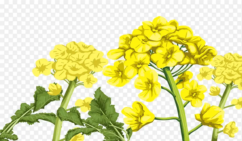 ��ͨ��ɫ�ֻ��Ͳ˻�-������