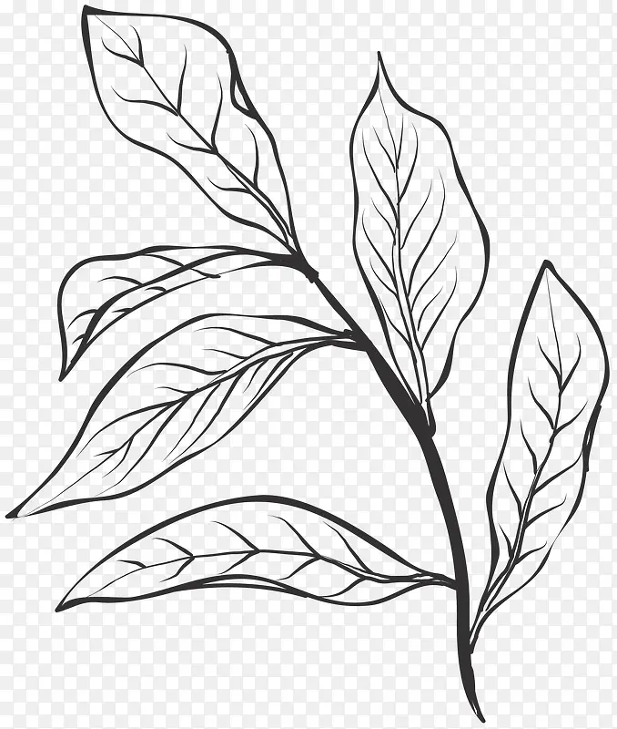 �ֻ��ʻ�-������