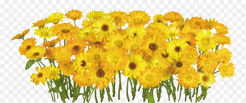 �ʻ����ܻ���ͼƬ�ز�-������