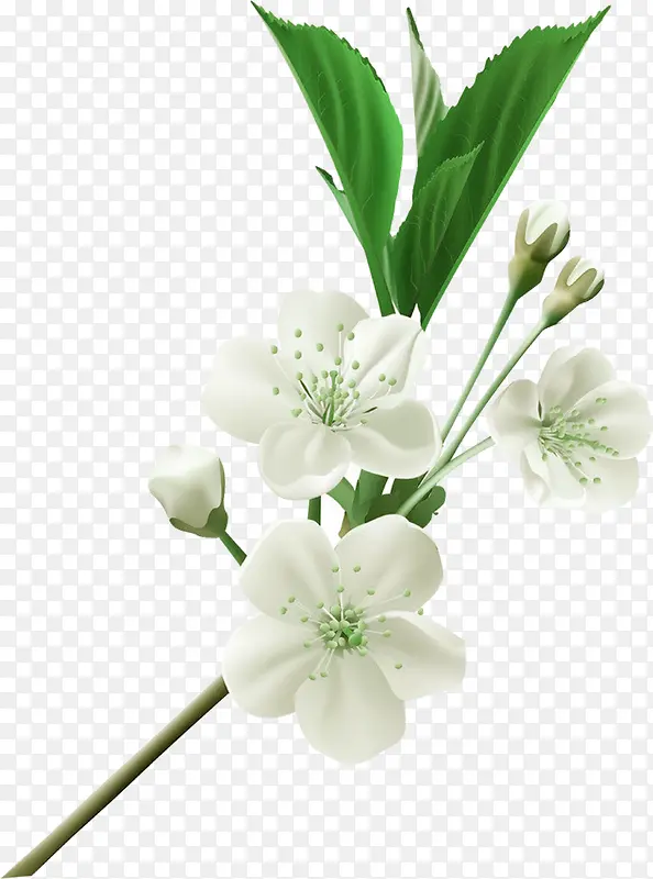 ��ɫ������������С��-������