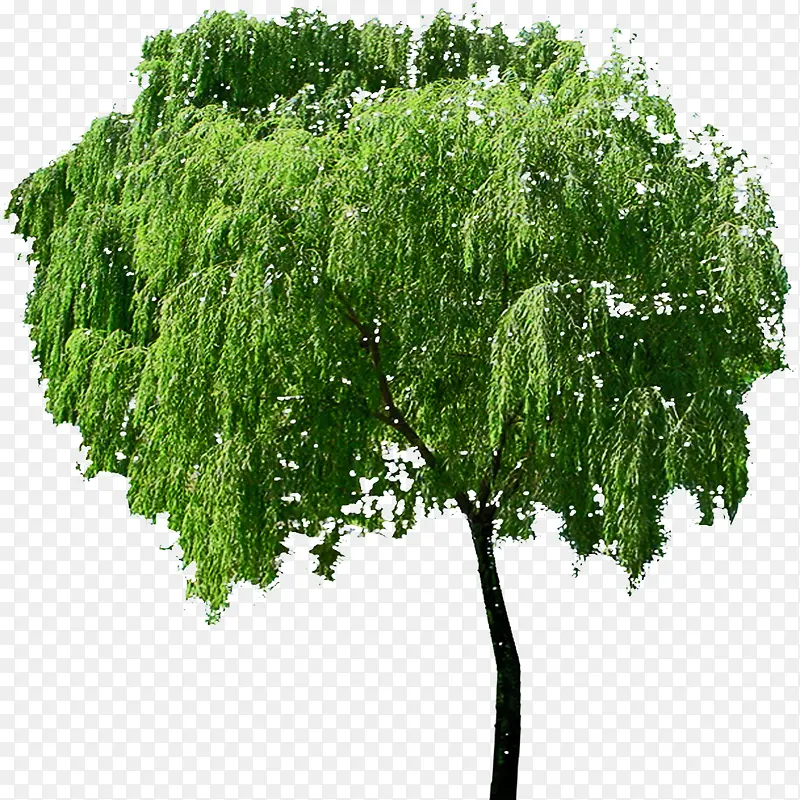 ֲ�ﻨ���ز�-������