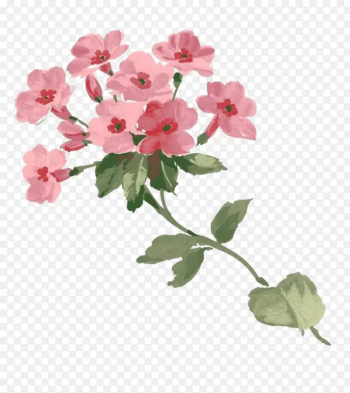 �廭���ÿ�-������