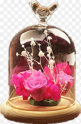 �ʻ�������-������