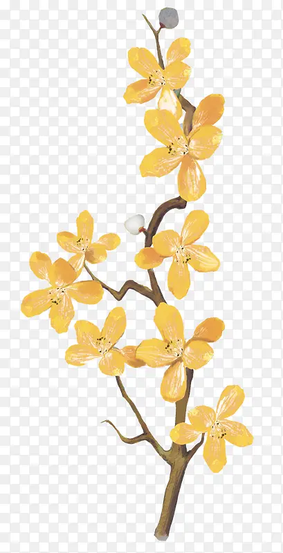 �ֻ�ֲ�ﻨ��-������