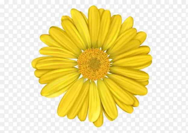 ��ɫ�Ļ�-������