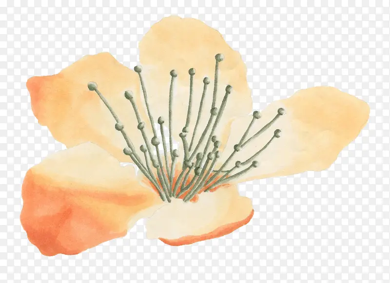 ˮ���ֻ�ֲ�ﻨ��-������