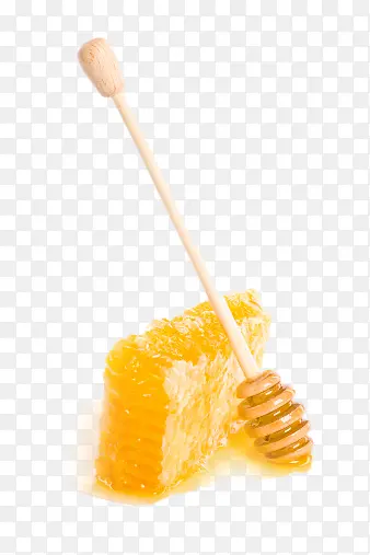 �䳲-������