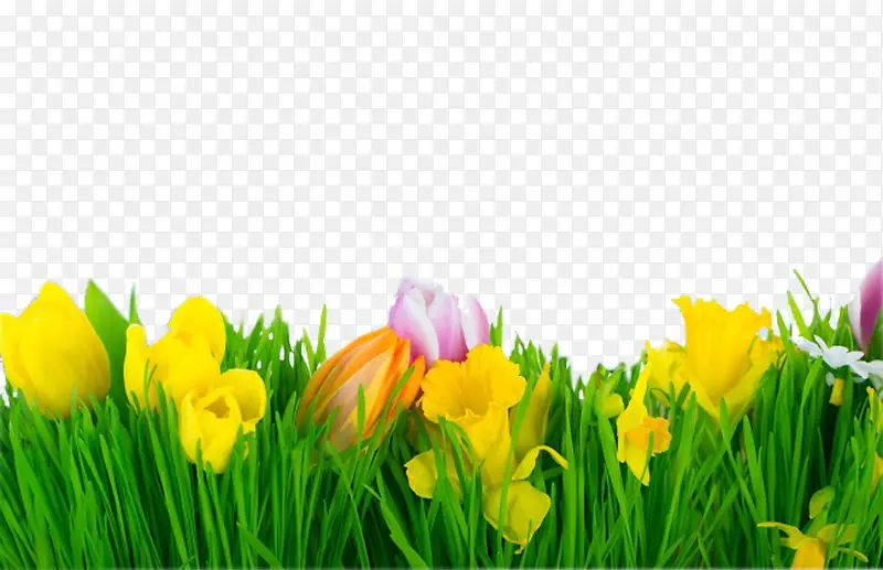 ��ɫ�����̲ݲ�ͼ-������