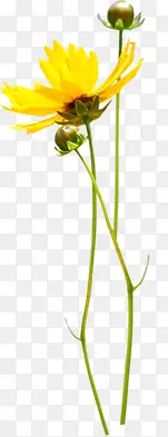 ��ɫʱ�л���װ��-������