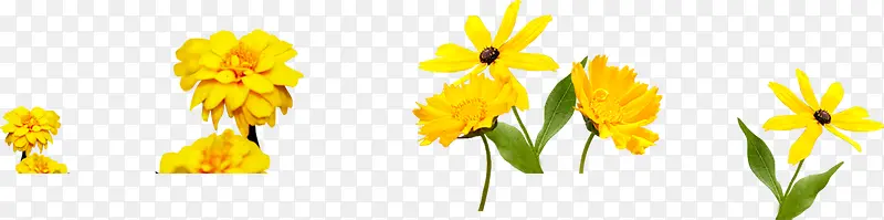 ��ɫ�ɰ�����ݵ�-������