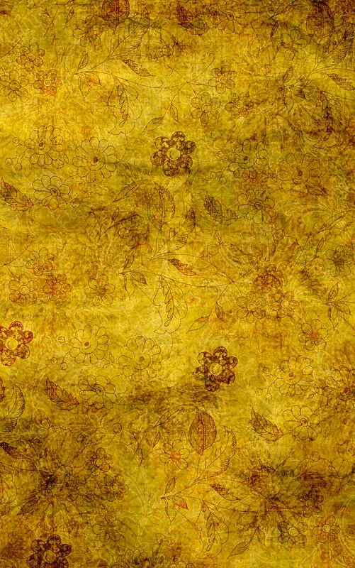 ��ɫ����ֲ�ﱳ��-������