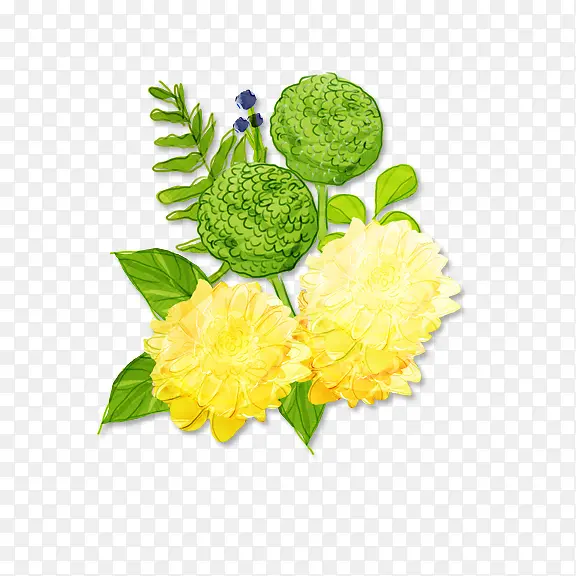 �ֻ�ƻ�-������