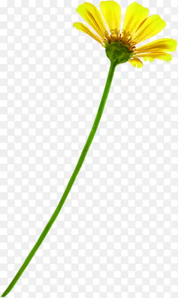 ��ɫˮ�ʻ��侰��-������