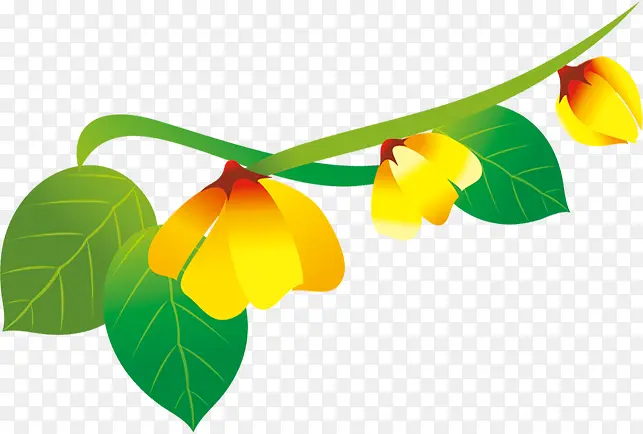 ��ɫҶ����֦��ɫ����ʻ�-������