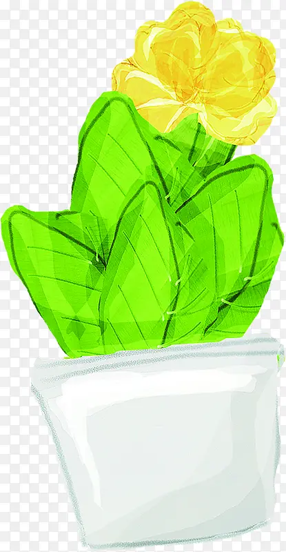 ��ɫˮ�ʻ���ֲ��-������