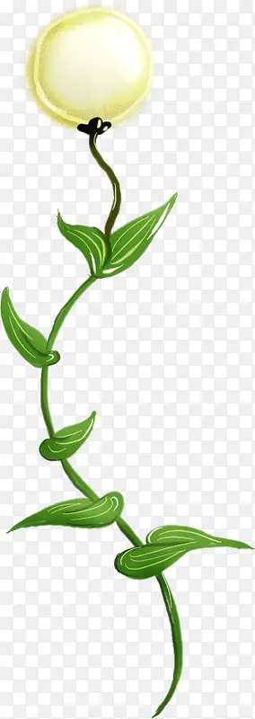 ��ɫ�λû���ˮ��-������