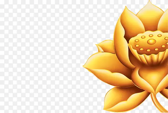 ��ɫʱ�л���ɻ�-������