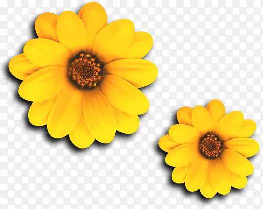 ��ɫ��ͨ���ʱ�л���-������