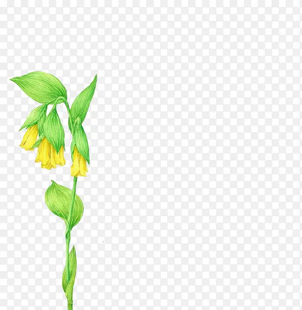 ��ɫˮ�ʻ���-������